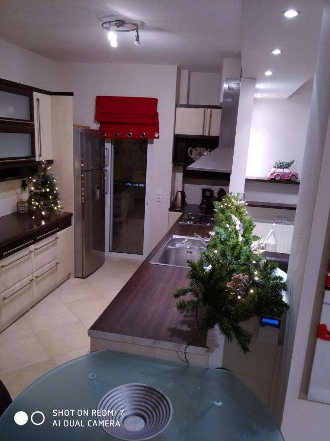 Quiet Luxury Apartment Near City Center And Port Návplio Kültér fotó